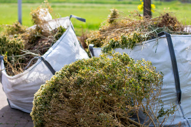 Best Moving and Downsizing Cleanouts  in La Conner, WA